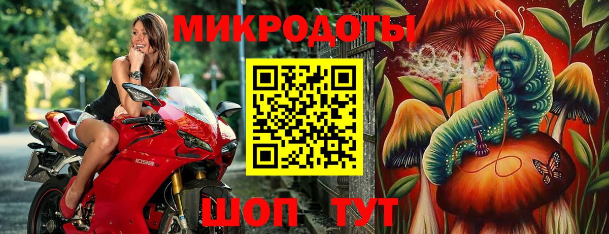Галлюциногенные грибы Psilocybine cubensis Воскресенск